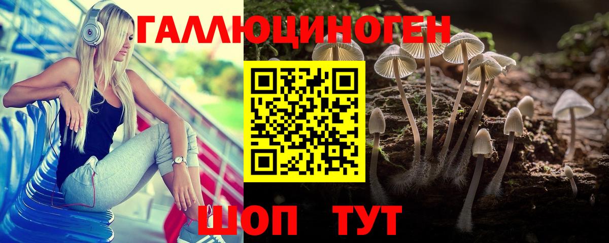 Удомля  Галлюциногенные грибы прущие грибы  Вход с VPN 